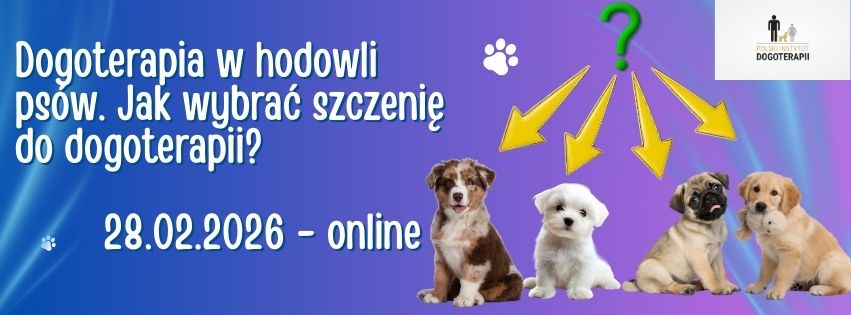 Dogoterapia w hodowli psów. Jak wybrać szczenię do dogoterapii?