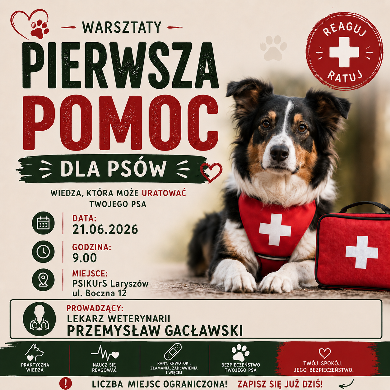 Szkolenie stacjonarne: Pierwsza Pomoc Przedweterynaryjna dla Psa